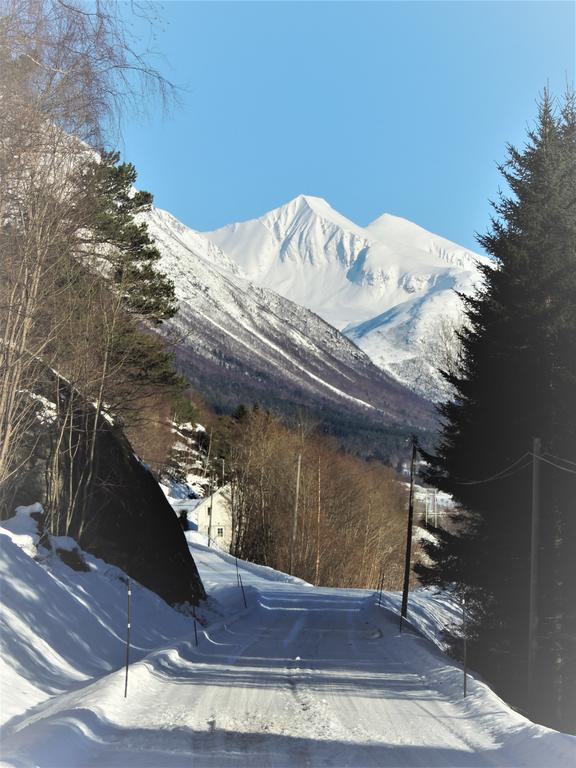 Tindelykke Villa Isfjorden Dış mekan fotoğraf